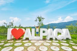 Place img