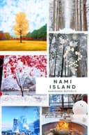 Nami Island Korea