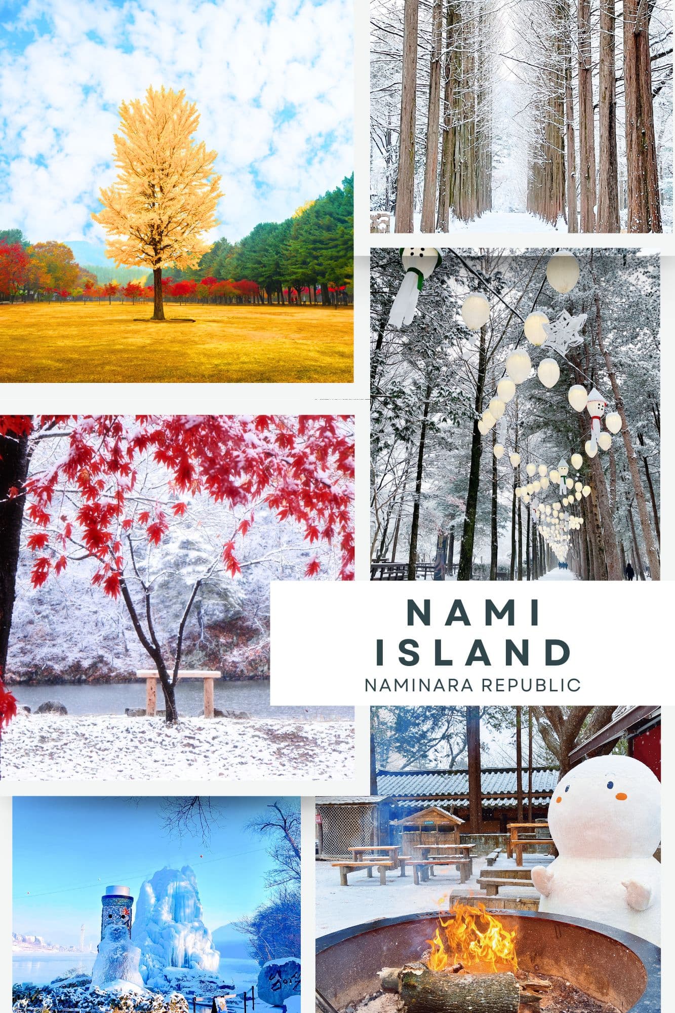 Nami Island & Petite France: A Classic Gyeonggi Day Trip from Seoul